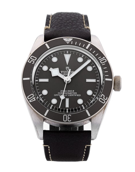 Tudor Black Bay 58 M79010SG-0001